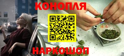 крисы Краснознаменск