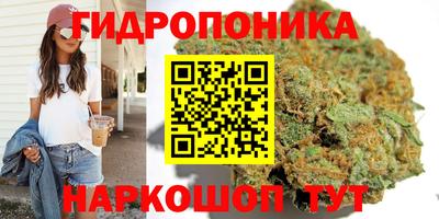 крисы Краснознаменск